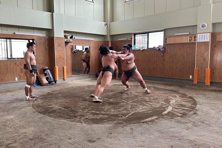 Experience the World of Sumo