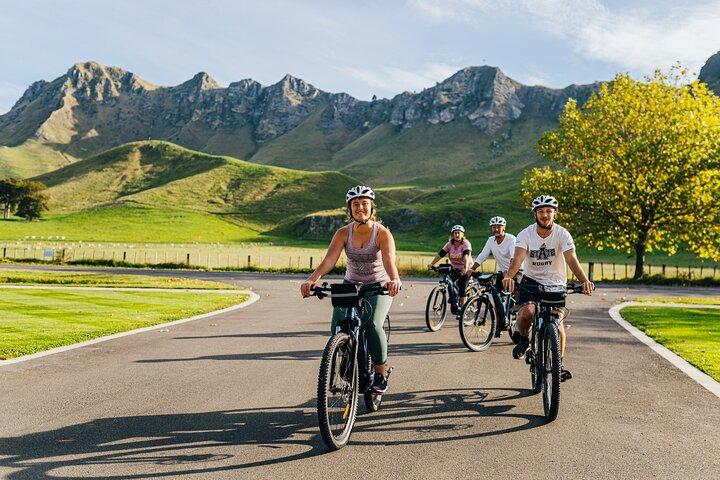 Cape Winery Cycle Tour - 6 wineries, self-guided
