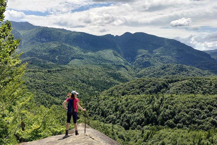 Forest Trails & Legends: Rasnov Hike to Breathtaking Views