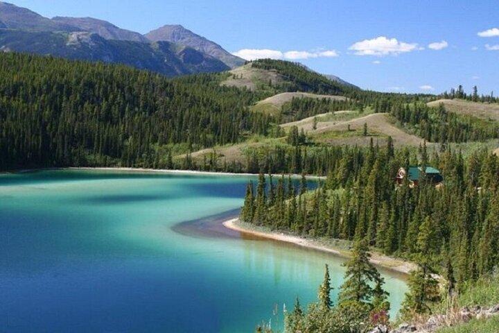 Wild Adventure Yukon Tour into Canada + White Pass Summit