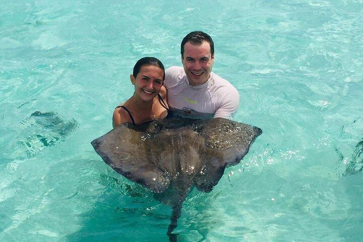 6-Hours Guided Stingray Tour in the East Coast of Antigua