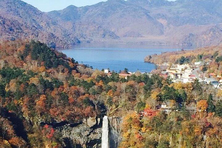 Full Day Private tour & sightseeing to Nikko(Eng speaking Driver)