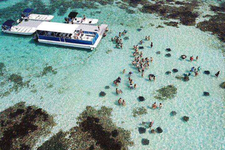 3-Hours Snorkeling Activity in Stingray City - Transfer Included