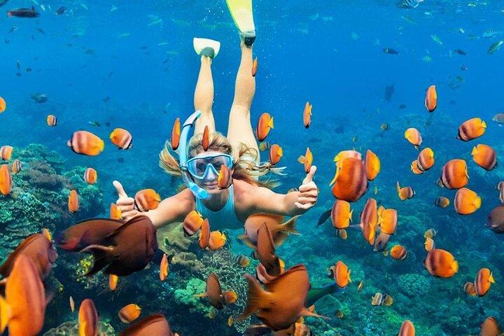 Private Snorkeling Enjoy the Amazing Manta Rays Nusa Penida