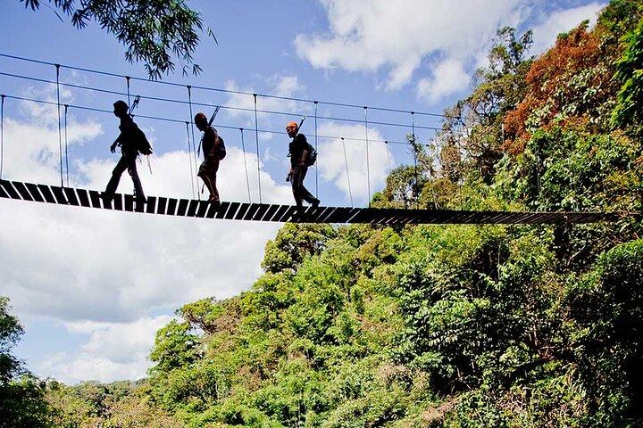 Private 2 Days Jungle Experience with Hiking and Ziplining