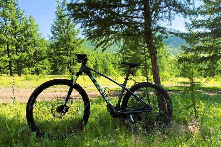 Mountain Bike Rental