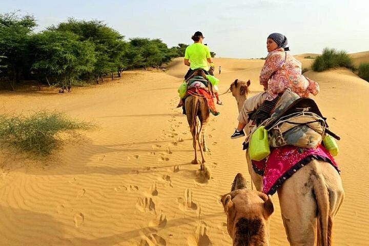 Nomadic Non-Touristic Overnight Tour & camel Safari 