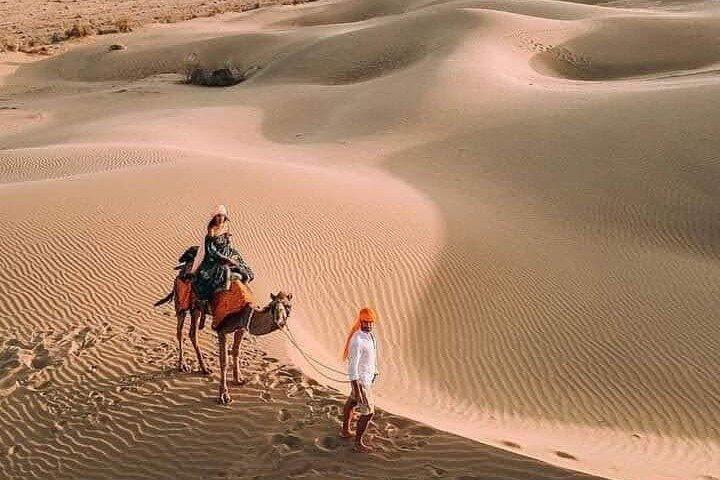 Desert Camel & Jeep Safari Private Tour From Jodhpur