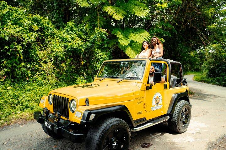 Half Day Private Tour in St. Lucia Jeep Wrangler