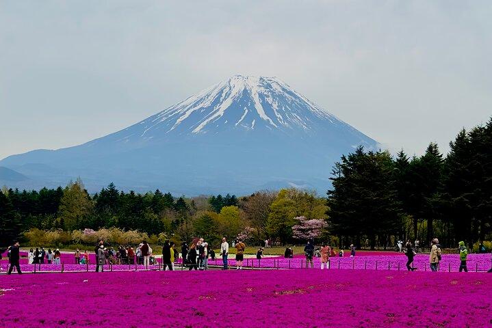 Mount Fuji Full Guided Private 1 Day Tour With Pick & Drop 