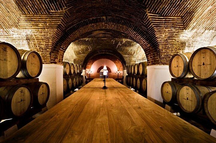 Private Full Day Evora & Alentejo Wine Tour from Lisbon 