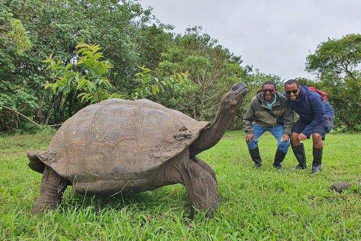 Santa Cruz Highland Tour: Giant Tortoises, Lava Tunnel & Gemelos