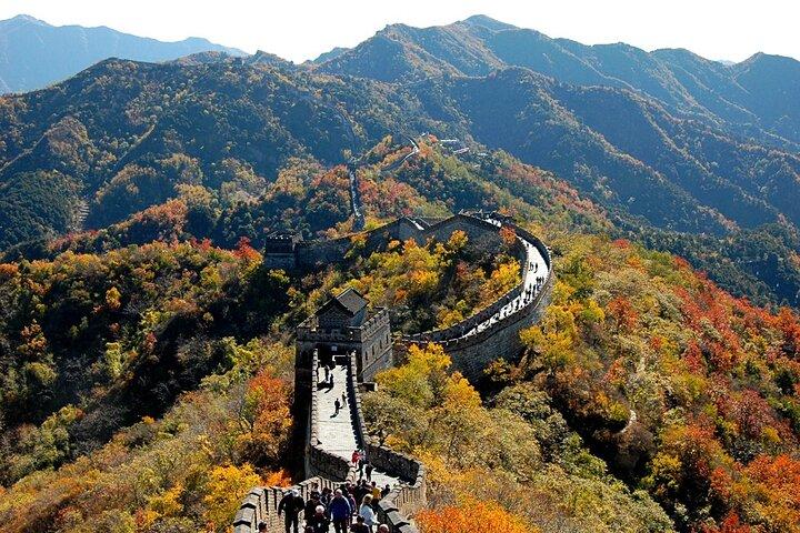 Beijing Great Wall Private Day Tour from Shanghai by Bullet Train