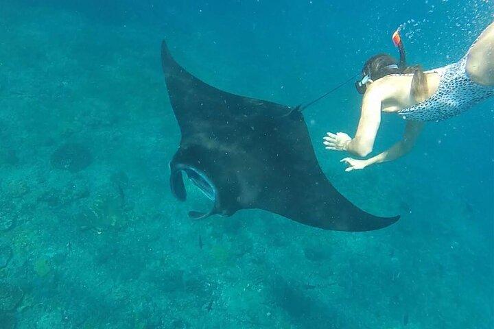 2 day tour and snorkel to meet Manta Rays in Nusa Penida