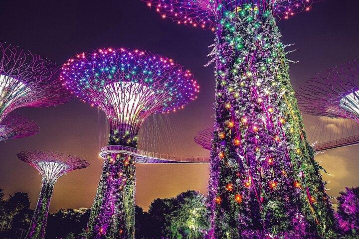 Singapore Gardens and Satay by The Bay Private Night Guided Tour
