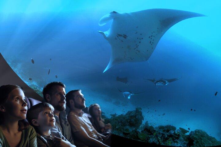 A 360° Immersive Ocean Movie Experience (Catalina Island) 