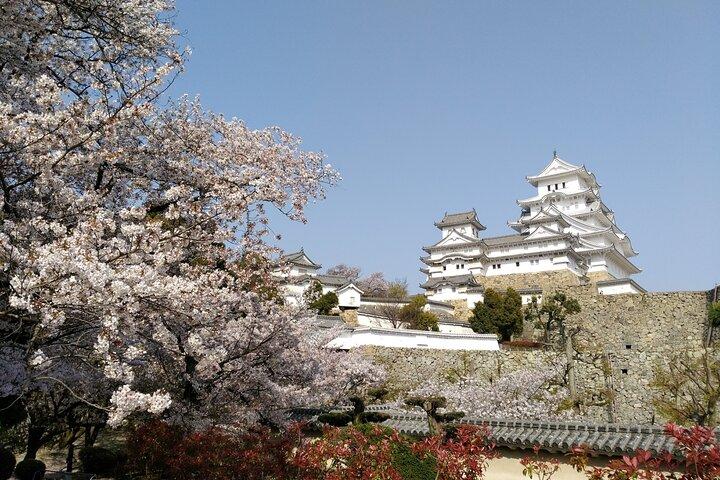 2.5 Hour Private History and Culture Tour in Himeji Castle