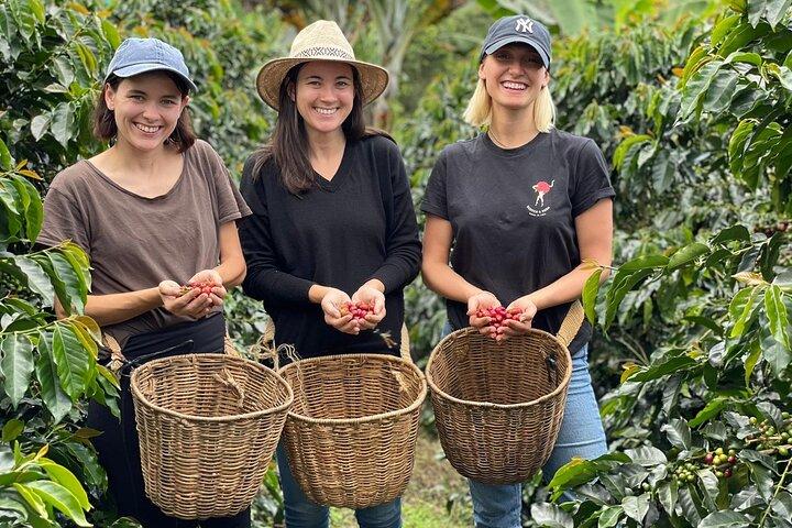 Coffee Tour and Jeep Tour at Finca Mariposa in Jardin 