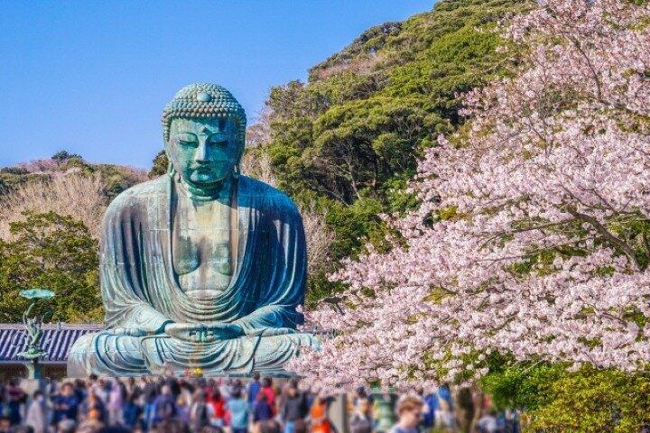 3-Hours Walking Tour in Kamakura