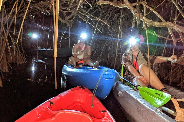 Guided Bioluminescence Night Kayaking Adventure in Belize