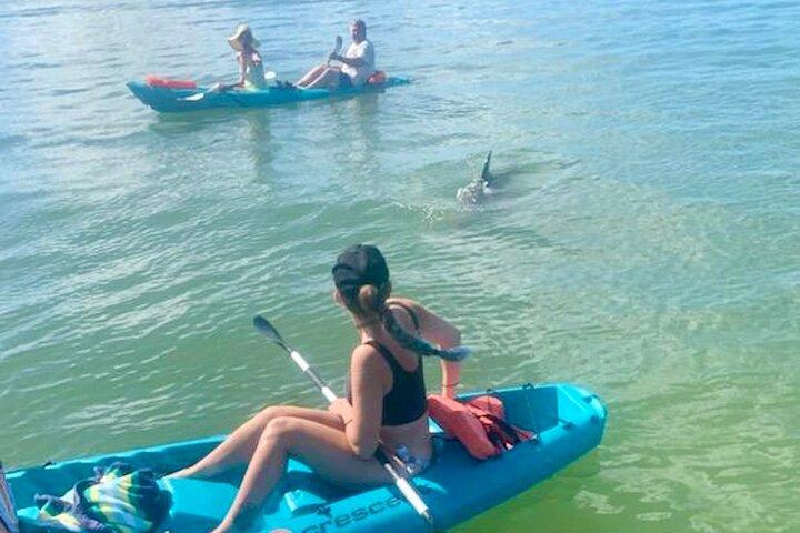 Dolphin and Manatee Kayak Tour of Daytona Beach