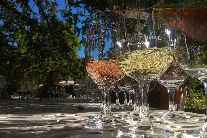 Wine tour to Stellenbosch & Franschhoek with Tastings & Lunch