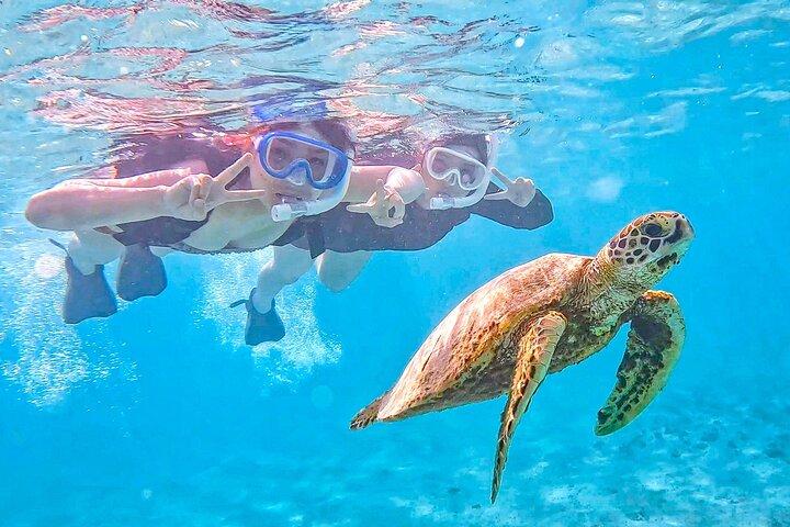 Miyako Two Activities in Half Day SUP and Sea Turtle Snorkeling