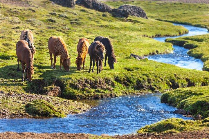 Horse riding tour in Truso Valley