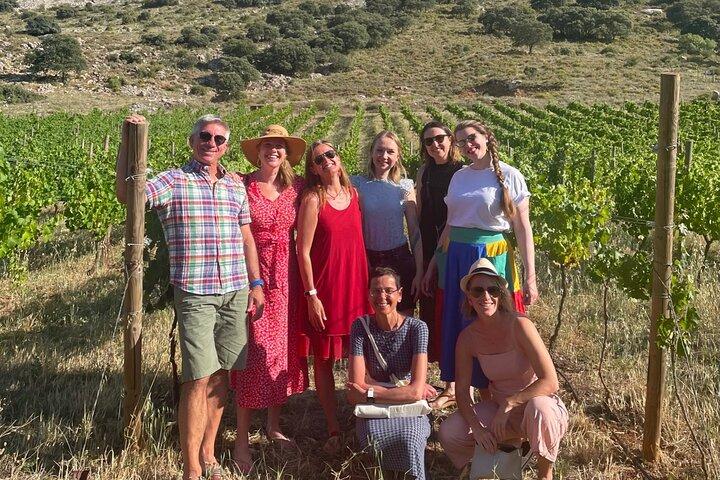 Antequera - Dolmens & Vineyard Experience
