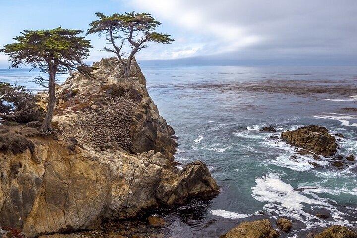 Monterey, Carmel, 17 Mile Drive, Rocky Point 6 hrs from Monterey