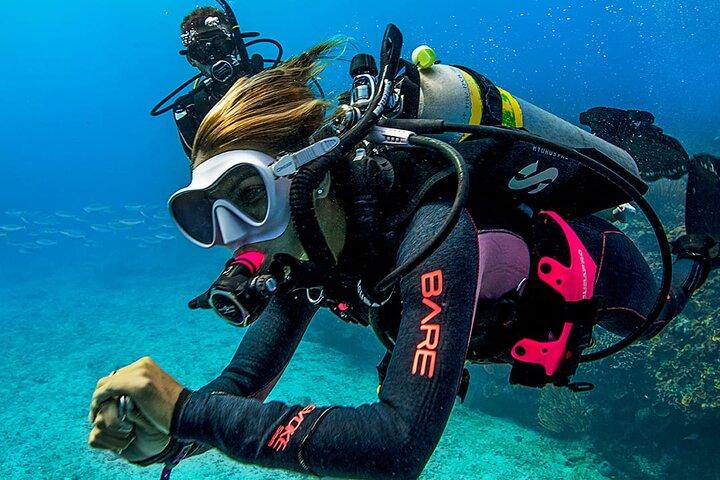 Try Scuba Diving in Mossel Bay