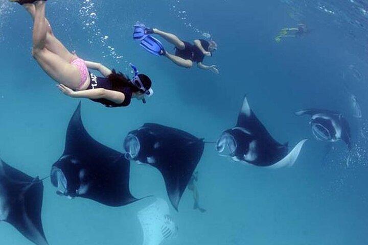 4 Spots Snorkeling Tour with Manta Rays in Nusa Penida