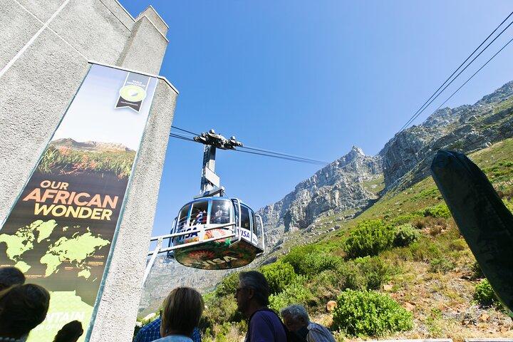 Table Mountain, Penguins & Cape Point Small Group Tour from Cape Town