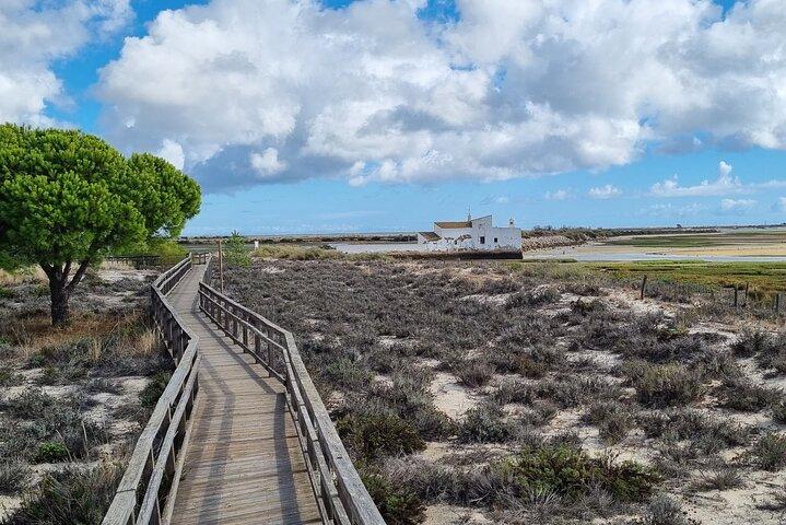 Half Day Walking Tour in Ria Formosa Nature Park