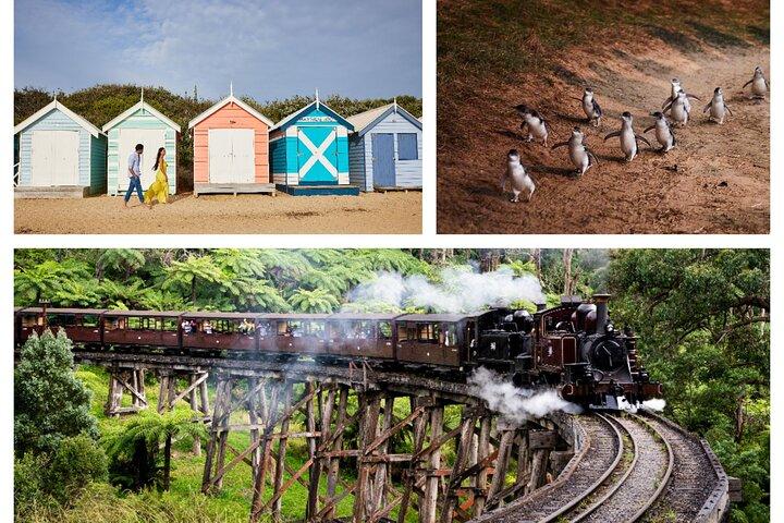 Brighton Bath Boxes, Puffing Billy, and Penguin Parade in Chinese