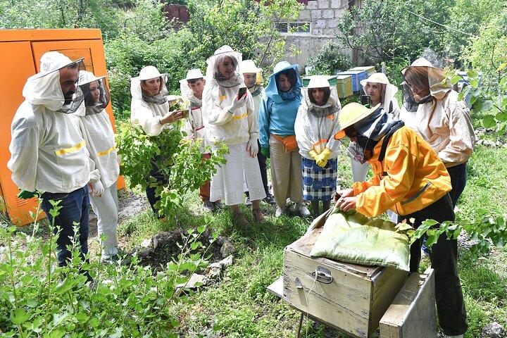 Private Honey Farm Tour and Beeswax Candle Making in Spitak