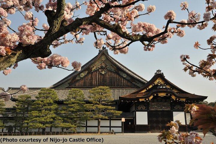 Kyoto 1 Day Tour - Golden Pavilion and Kiyomizu Temple from Kyoto