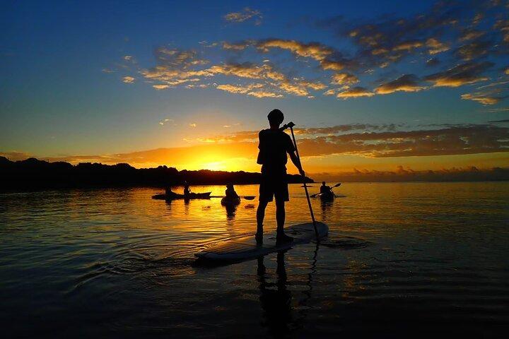 [Ishigaki] Sunrise SUP/Canoe Tour 