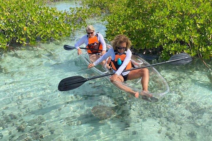 Mangrove Cay And Iguana Island Venture In Turks And Caicos Island