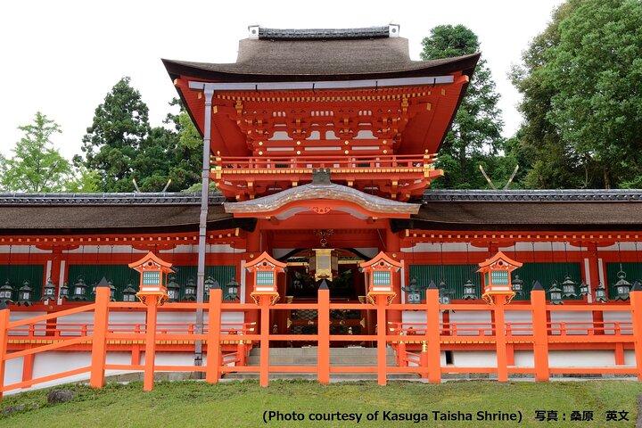 Nara Afternoon Tour - Todaiji Temple and Deer Park from Kyoto