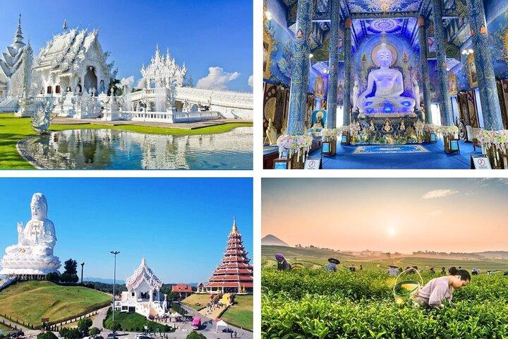 Best Places in Chiang Rai White, Blue, Big Buddha, Tea Plantation