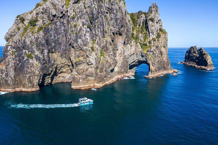 Bay of Islands Cruise & Island Tour - Snorkel, Hike,Swim,Wildlife