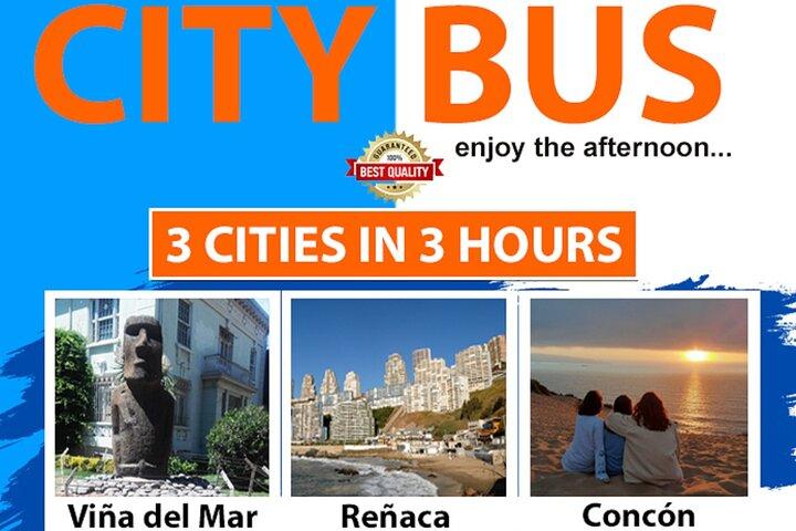 Citybus Tour from Valparaíso (Viña del Mar, Reñaca and Concón)