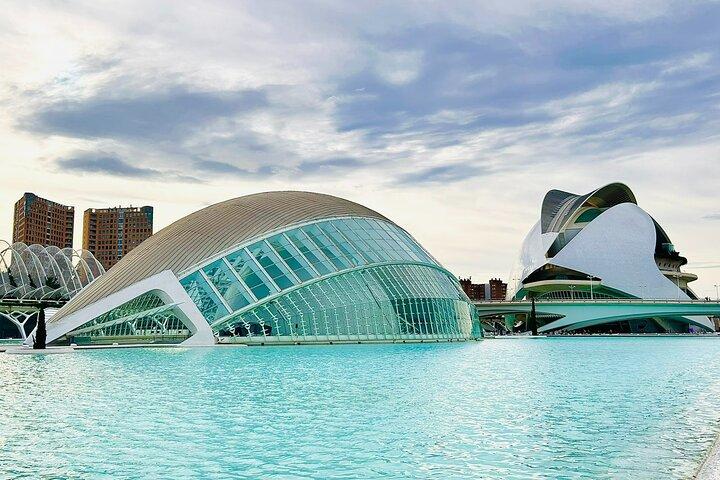 City of Arts & Sciences Tour with Rooftop Tapas & Wine