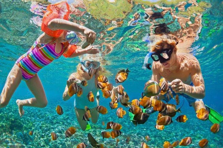 Snorkeling, Monkey & Sloth Park, West Bay Beach - Private Driver.