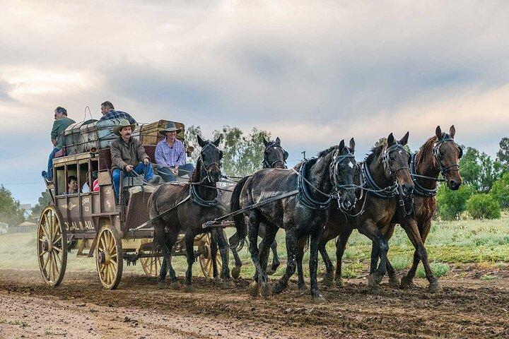 Cobb and Co Stagecoach Experience
