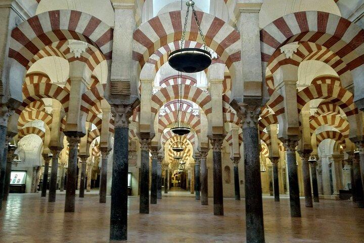 Private Tour Mosque-Cathedral with an expert guide in Al-Andalus