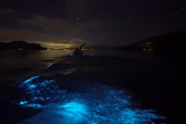 Eddy's Bioluminescence Reserve in Punta Cuchillos