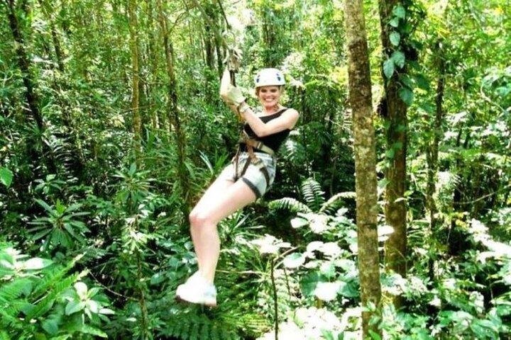 Treetops Zipline Tour with Drop off Transfer to Nadi Airport