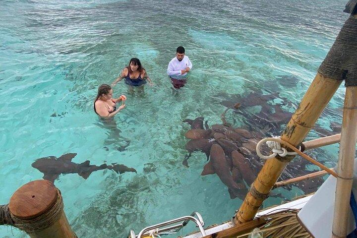 Shark & Ray Afternoon Swim Tiki Bar Cruise